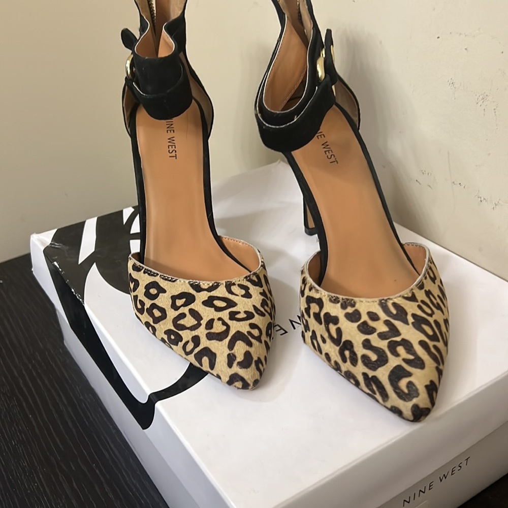 Leopard shies - Picture 3 of 6
